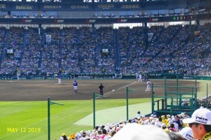 SONY DSC